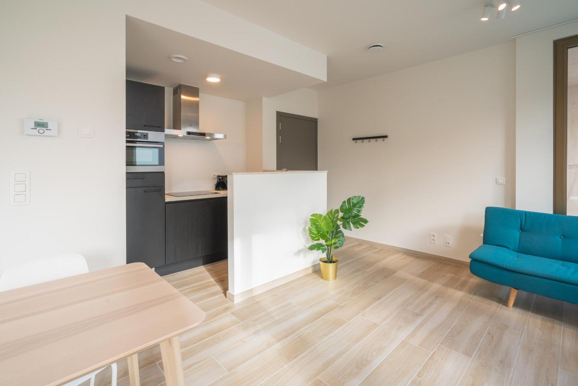 Opera Apartments In The Center Of アントウェルペン エクステリア 写真