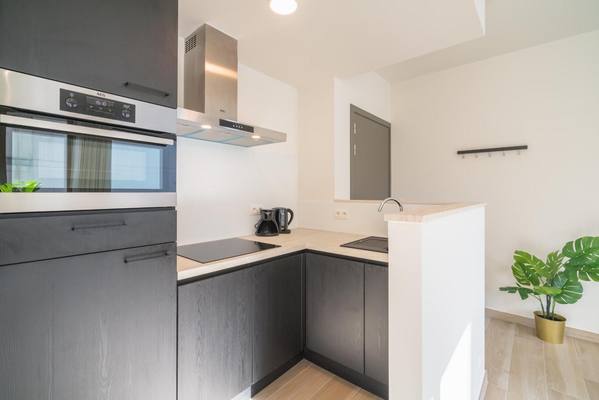 Opera Apartments In The Center Of アントウェルペン エクステリア 写真